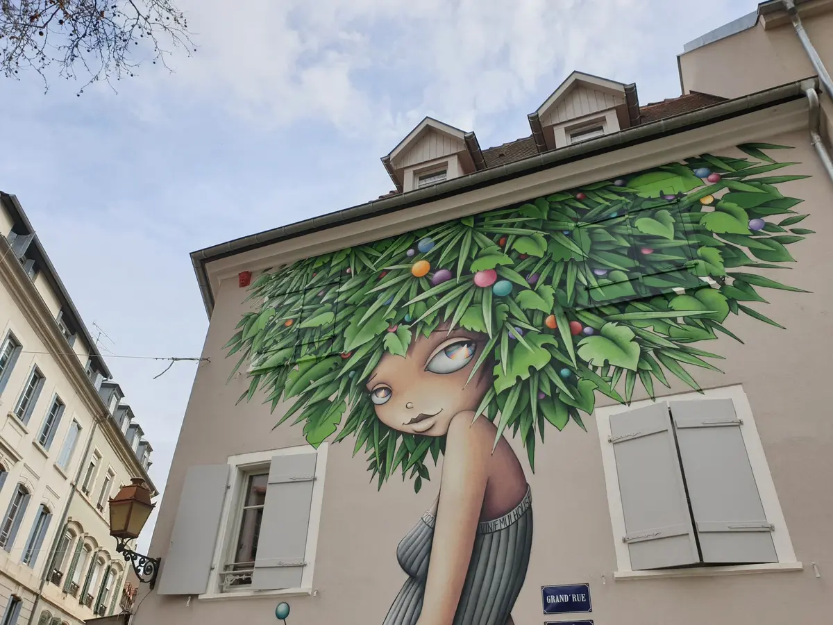 Visite guidée : Poésie urbaine, le Street-Art à Mulhouse