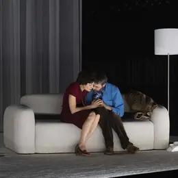 Scènes de la vie conjugale