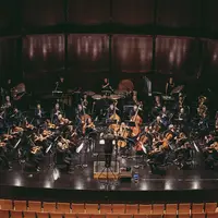 Concert de Saint-Valentin &copy; Orchestre Dijon Bourgogne [France/Région BFC] 