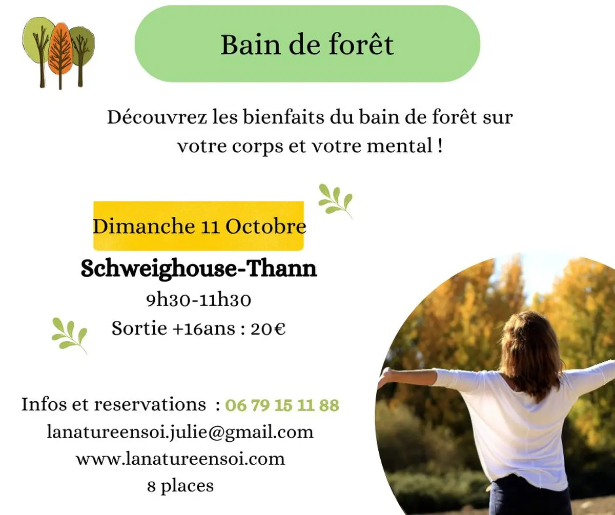 Sortie nature bain de forêt