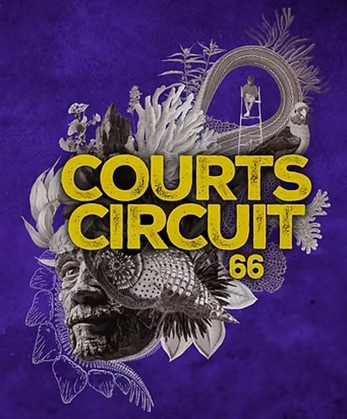 7ème édition Courts Circuits 66 Courts Metrages