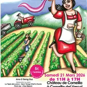 7eme Edition Vin De Femmes Au Chateau De Corneilla