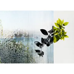 Expositions photo du mois de novembre