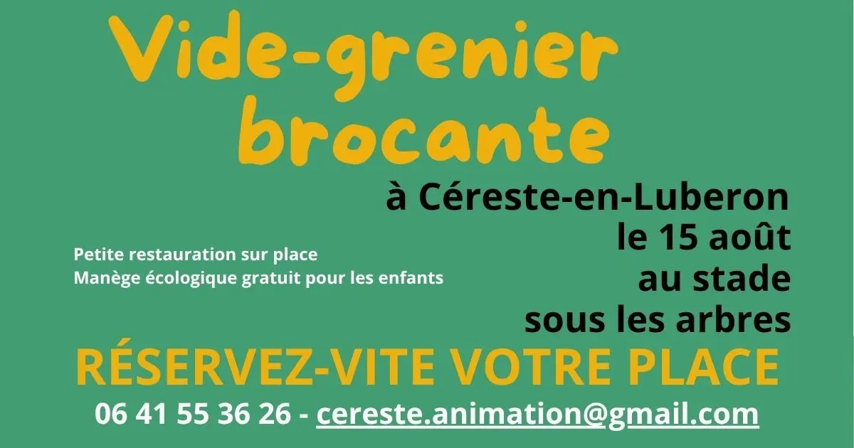 Le vrai vide grenier sous les arbres de Céreste en Luberon