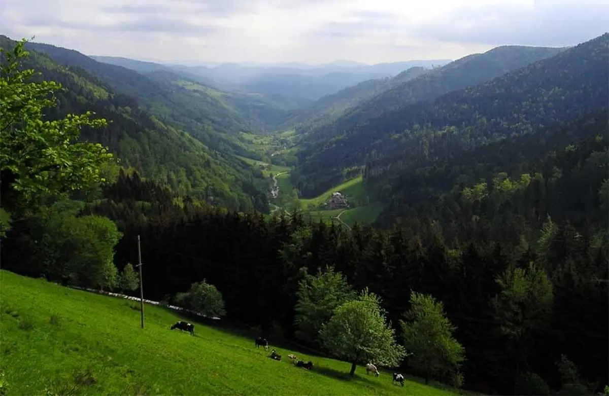 Montagne du Petit Rombach (Sainte-Marie-aux-Mines)