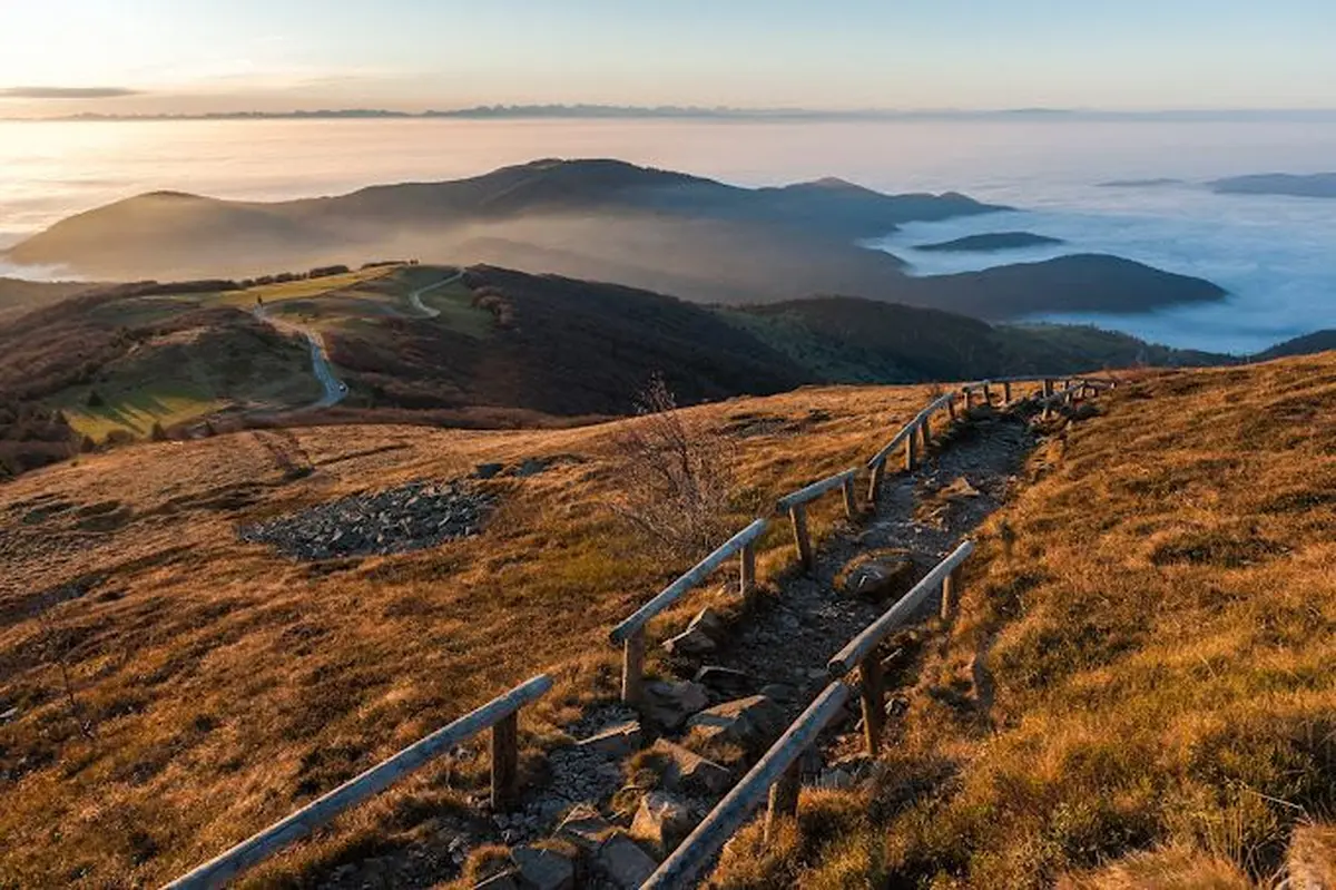 Le Parc Naturel Régional des Ballons des Vosges
