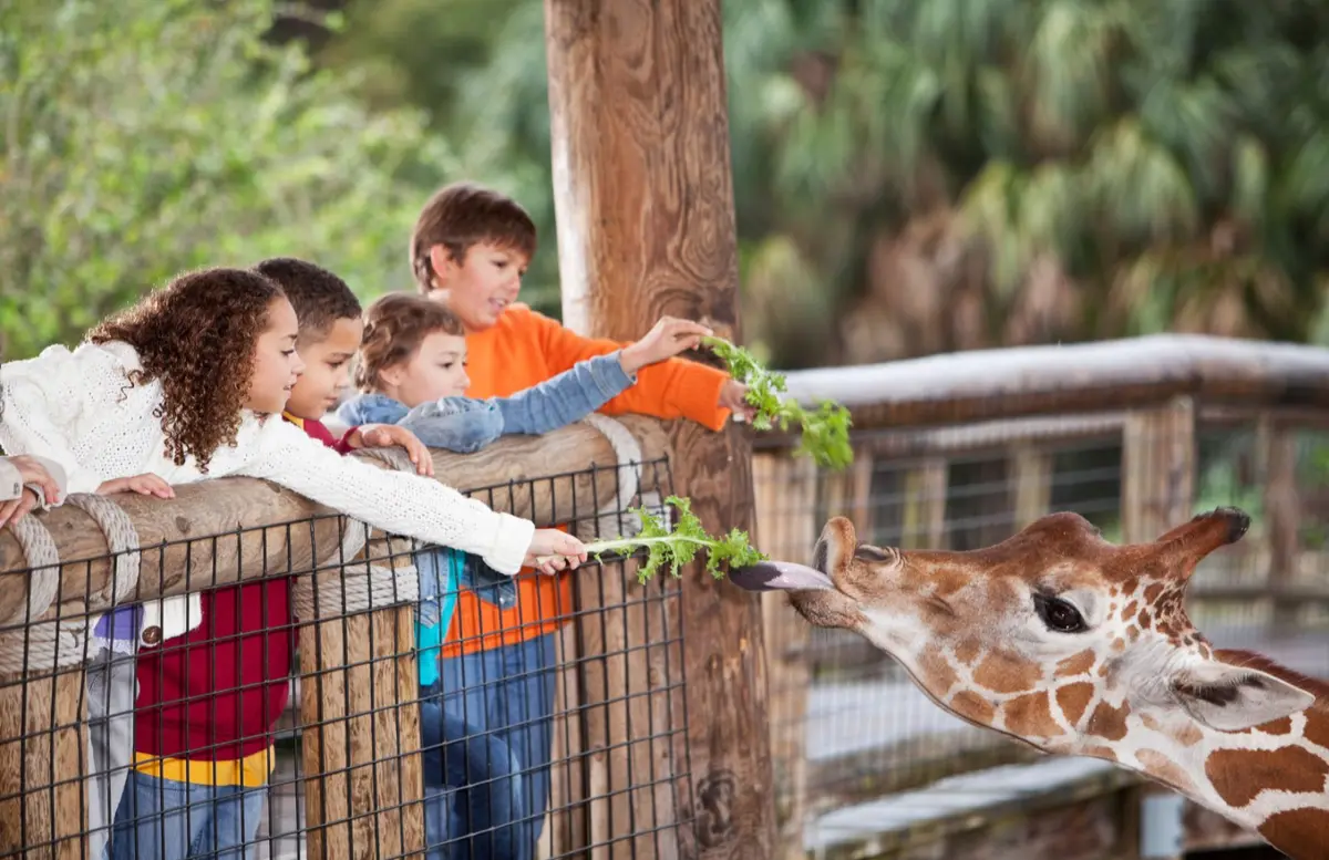 8 parcs animaliers pour voir des animaux en r&eacute;gion parisienne