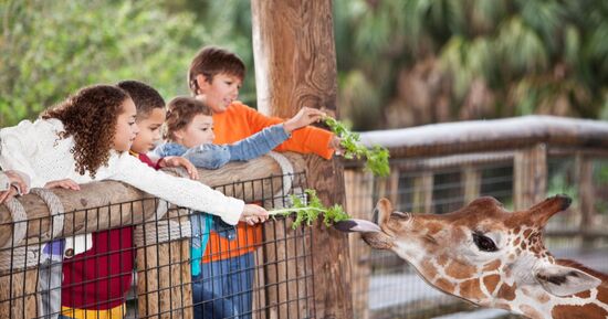 8 parcs animaliers &agrave; visiter en 2026 en r&eacute;gion parisienne
