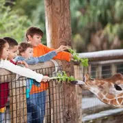 8 parcs animaliers à visiter en 2026 en région parisienne