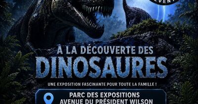 Exposition de dinosaures 
