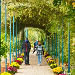 Stage : Que  planter à l'ombre ? 