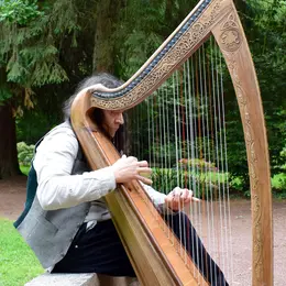 Christophe GUILLEMOT harpeur luthier