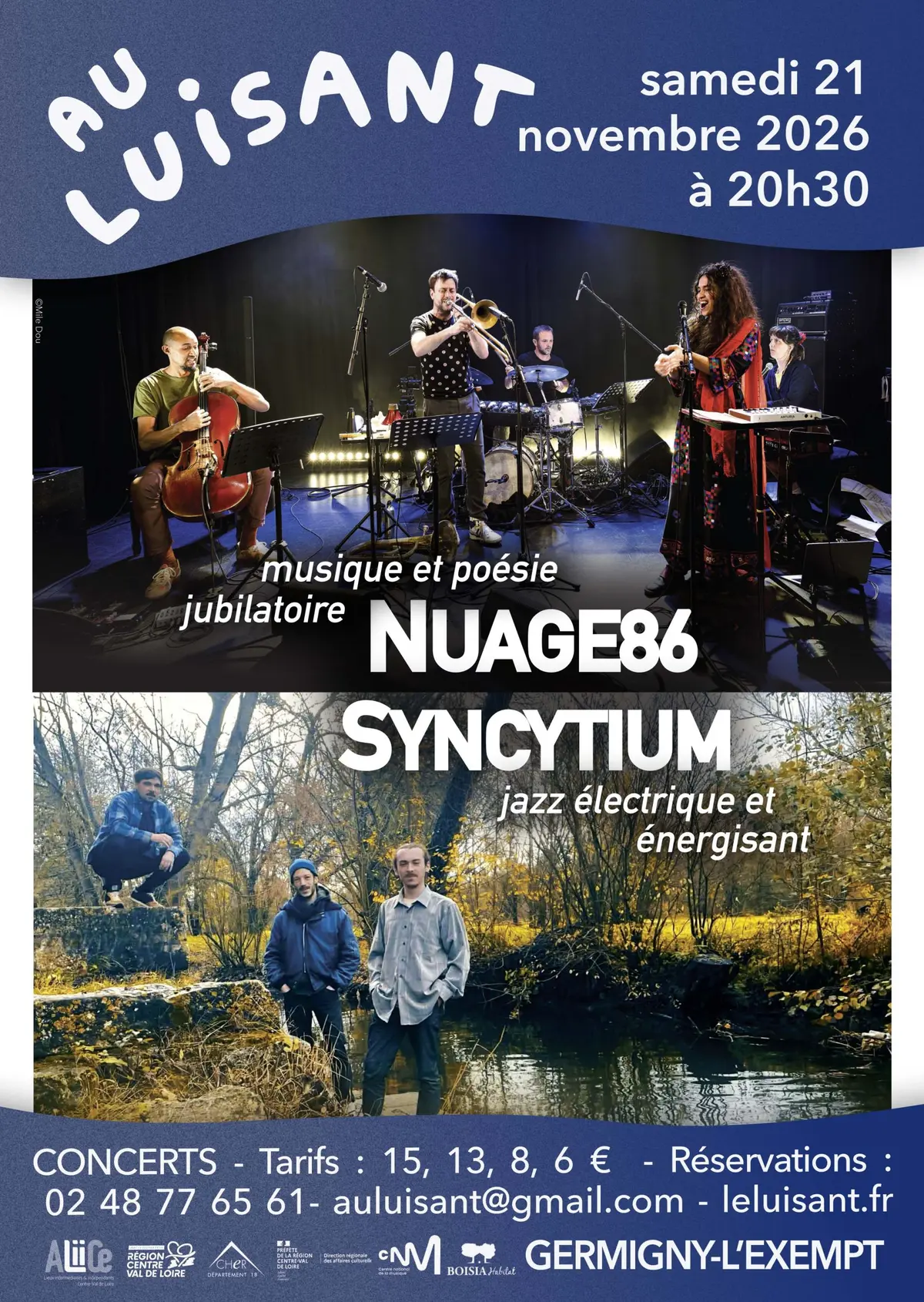 Syncytium et Nuage 86 