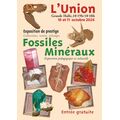 24e Salon des Min&eacute;raux et Fossiles de L'Union (31)