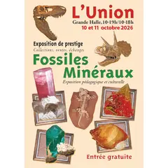 24e Salon des Minéraux et Fossiles de L'Union (31)