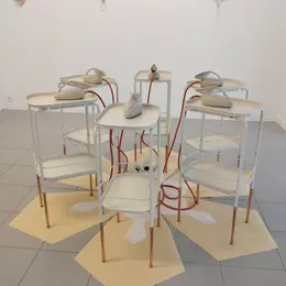Morphologies latentes