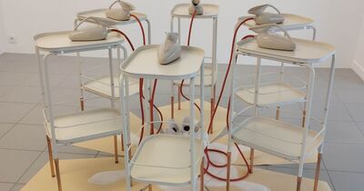 Morphologies latentes