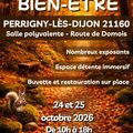 Salon du bien-&ecirc;tre Perrigny-l&egrave;s-Dijon 2&egrave;me &eacute;dition
