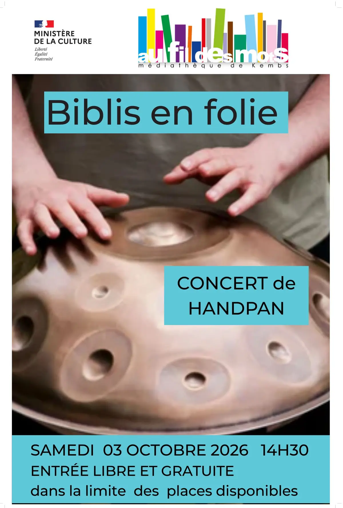 Concert handpan