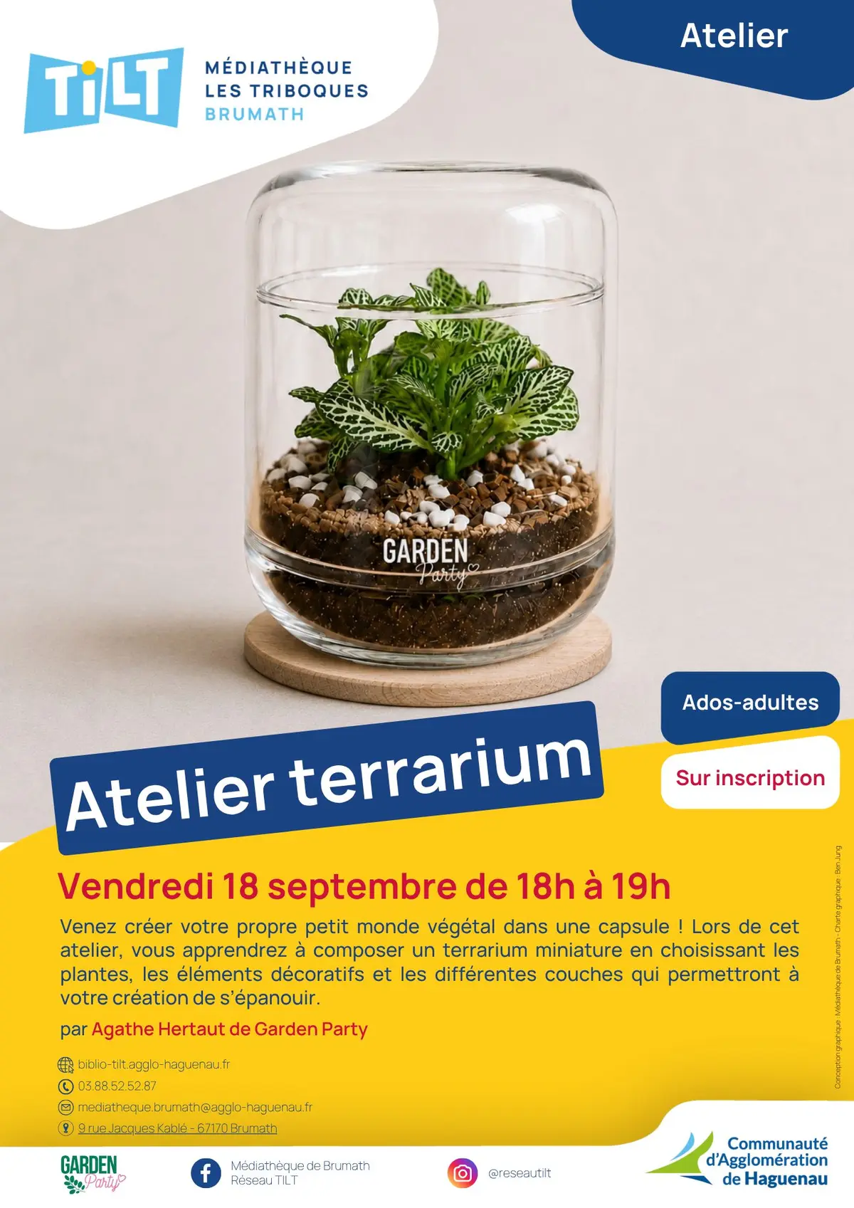 Atelier terrarium