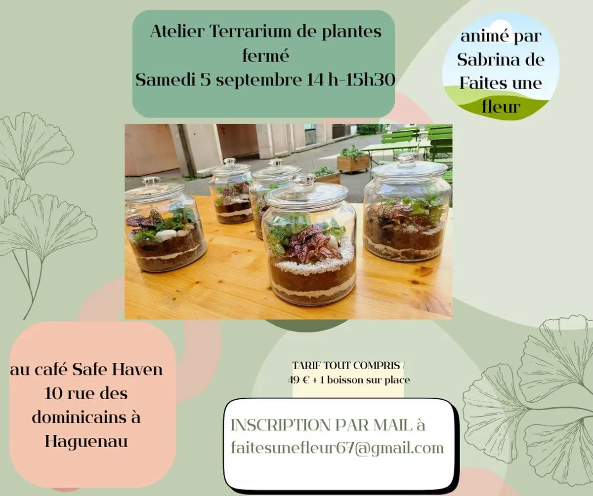 Atelier Terrarium de plantes vertes fermé