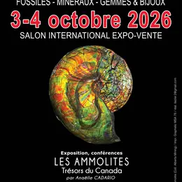 31éme Salon International de Rouen Fossiles, Minéraux & préhistoire