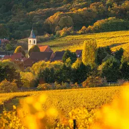 Vignobles en Scène Alsace : Jeu de piste dans le vignoble