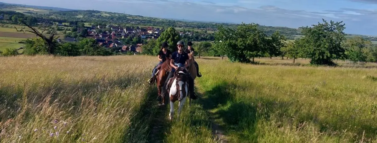 Balade à cheval autour de Wangenbourg