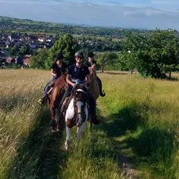Balade à cheval autour de Wangenbourg