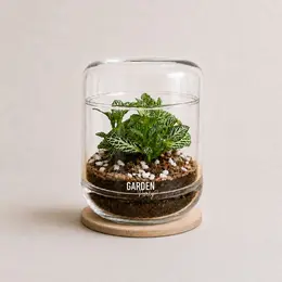 Atelier terrarium