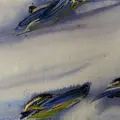 visite commentée - debré 1990 : les peintures potentielles