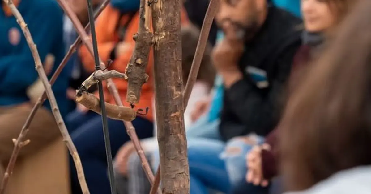 L’Homme qui plantait des arbres I Temps Fort Marionnettes