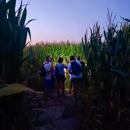 Nocturnes Chasse au trésor au Labyrinthe les Hautes Herbes