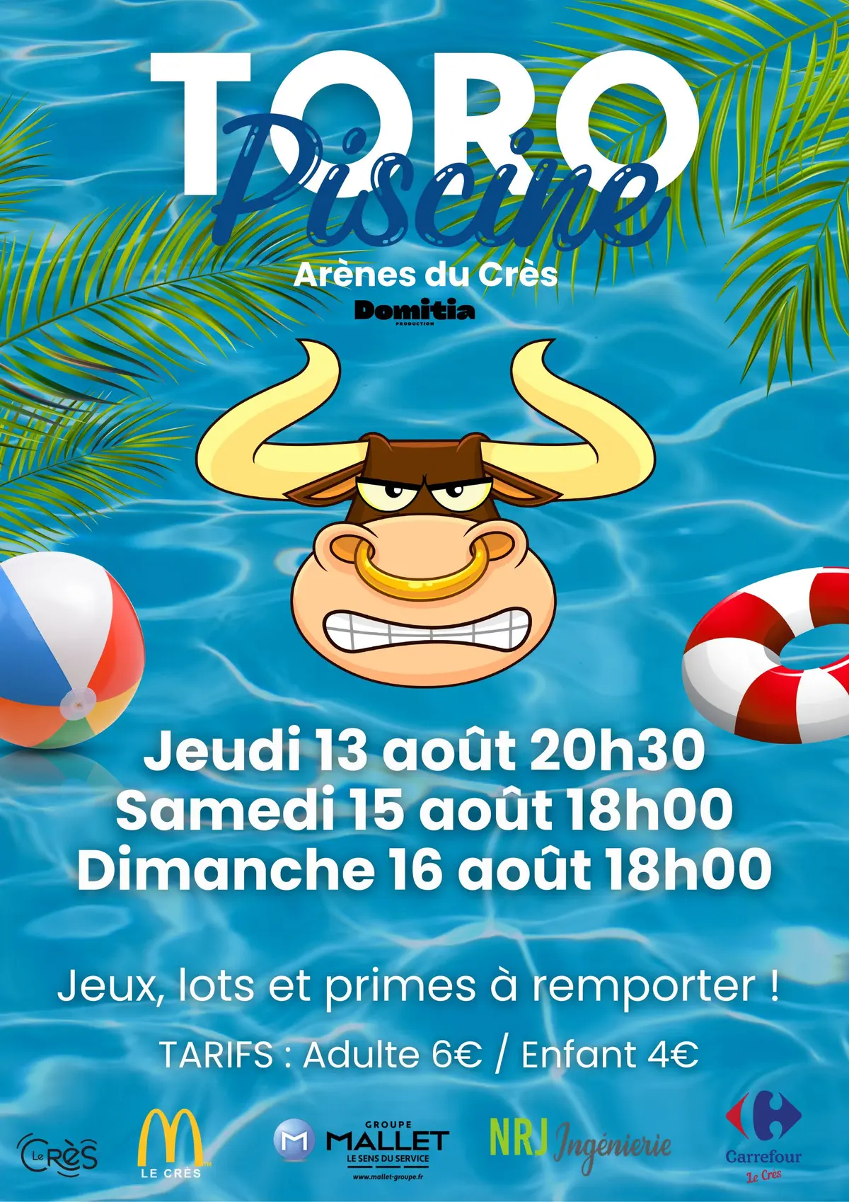 Toro Piscine