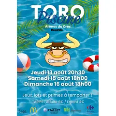 Toro Piscine