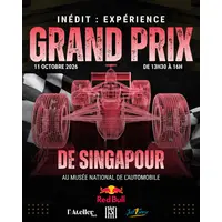 Grand Prix de Singapour &copy; MNA