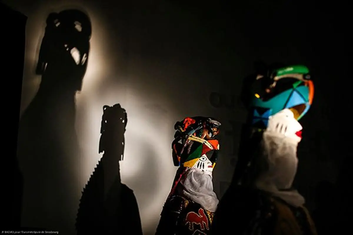 Visite nocturne à la lampe torche