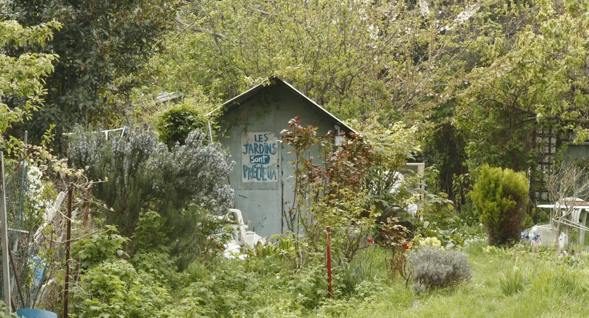 Ciné-débat : La Terre des vertus — Quelle place pour la nature en ville ?