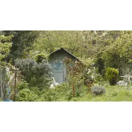 Ciné-débat : La Terre des vertus — Quelle place pour la nature en ville ?