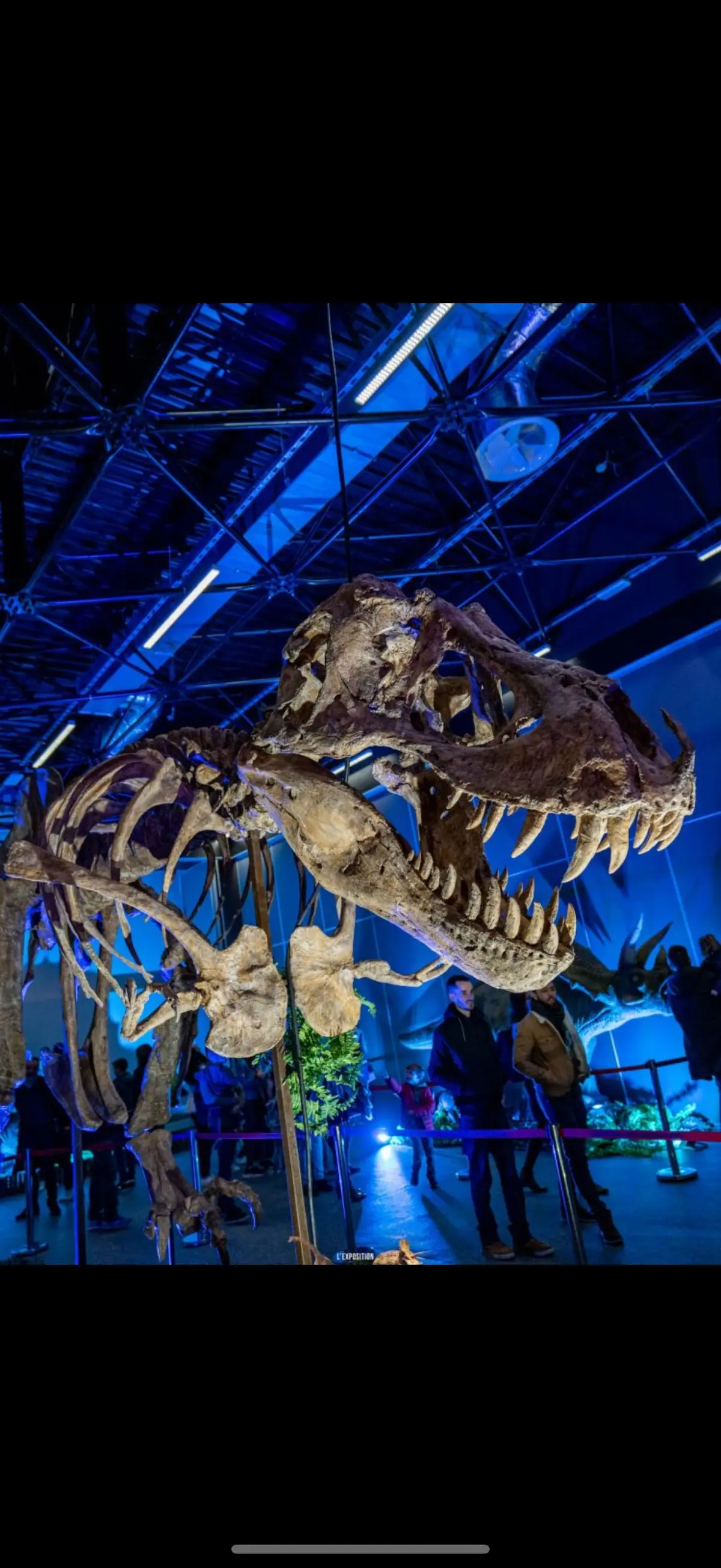 Super-héros et dinosaures expo