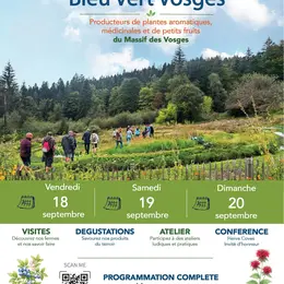 Les petites bébettes du jardin d’chez « Sauvages » 