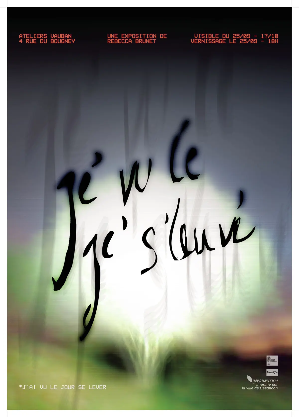 Je' vu le je s'leuve'