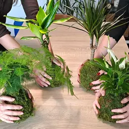 Atelier Kokedama art végétal japonais