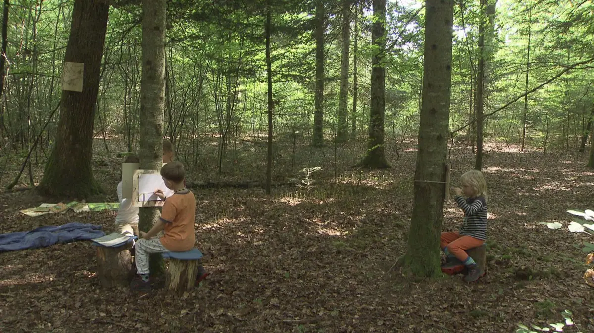 Projection La forêt pour école à la médiathèque La Filature
