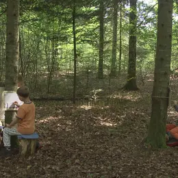 Projection La forêt pour école à la médiathèque La Filature