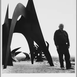 exposition - calder au cœur de la france