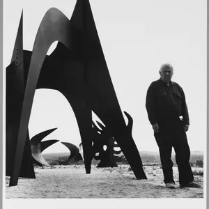 Exposition - Calder au cœur de la France