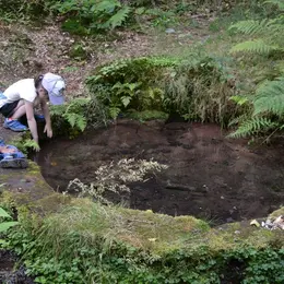 Journées Européennes du patrimoine : Randonnée accompagnée à Ratzwiller