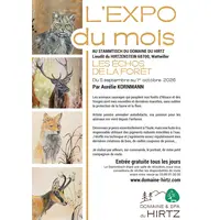 Les échos de la forêt par Aurélie Kornmann &copy; Domaine du Hirtz