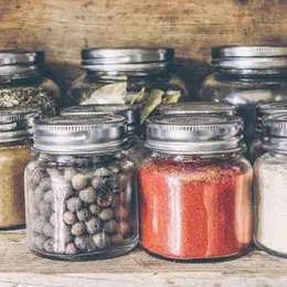 Les secrets des plantes : atelier ouvert